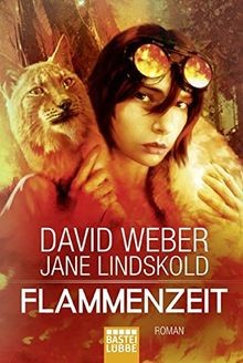 Flammenzeit roman von weber - von,